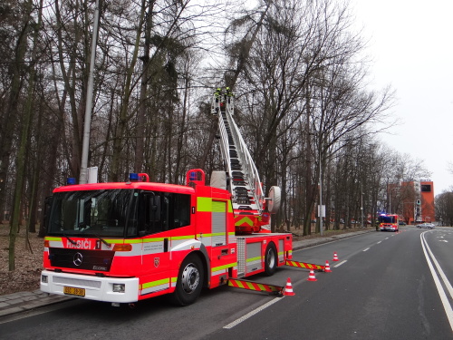 vitrmodrinBelskylesOV (2).JPG