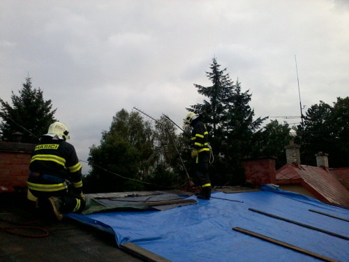 vitrstrechaDoubrava (KI) (3).jpg