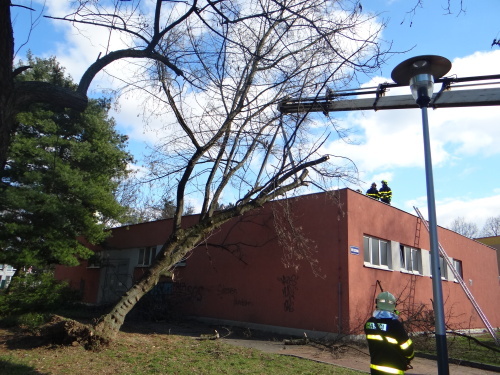 vitrstromMH_Ostrava (4).JPG