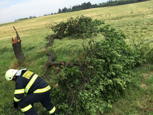 vitrstromSlatina (NJ) (4).jpg