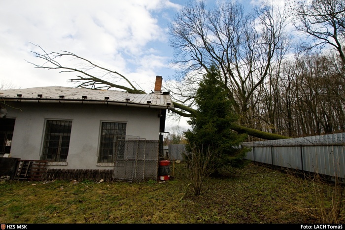 vitrstromstrechaNovaVes (1 OV).jpg