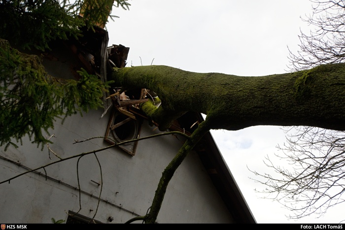 vitrstromstrechaNovaVes (2).jpg