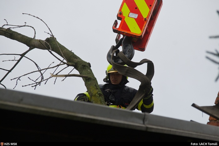 vitrstromstrechaNovaVes (3).jpg