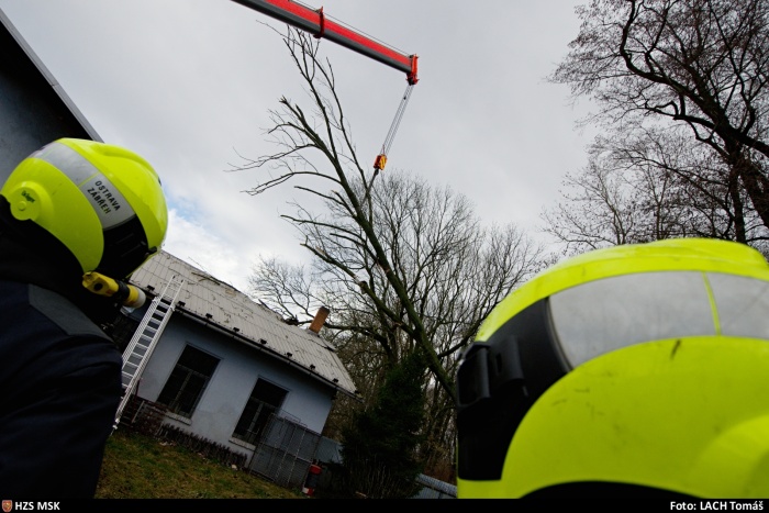 vitrstromstrechaNovaVes (5).jpg