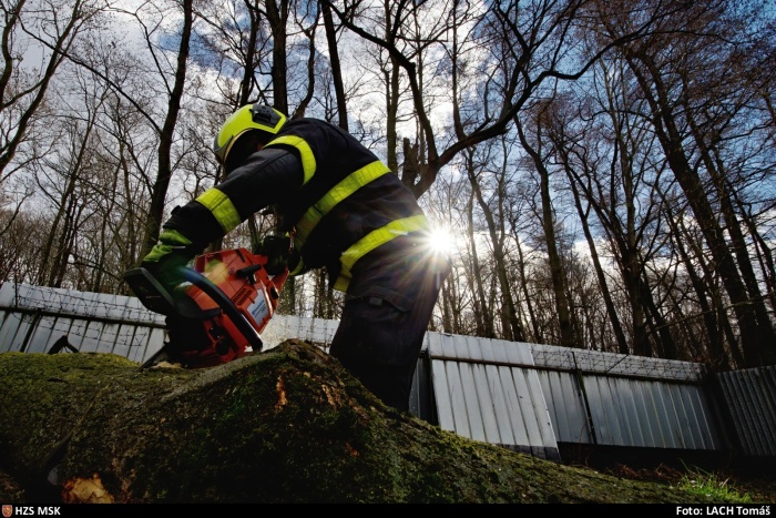 vitrstromstrechaNovaVes (6).jpg