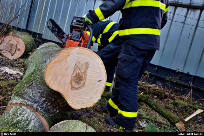 vitrstromstrechaNovaVes (8).jpg