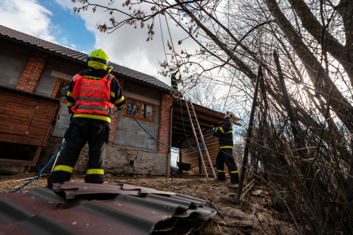 vitrstromyCeskyTesin (KI) (1).jpg