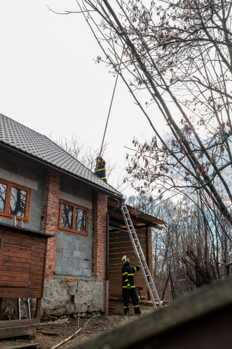 vitrstromyCeskyTesin (KI) (2).jpg