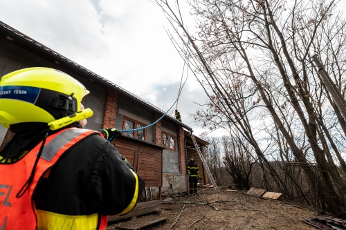 vitrstromyCeskyTesin (KI) (3).jpg