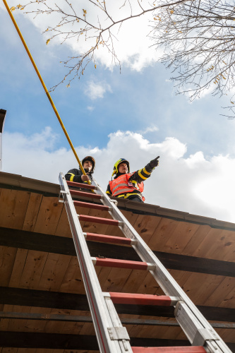 vitrstromyCeskyTesin (KI) (4).jpg