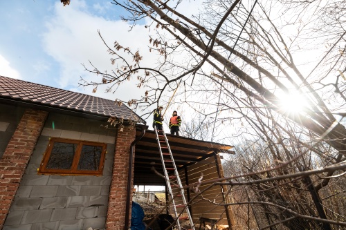 vitrstromyCeskyTesin (KI) (5).jpg