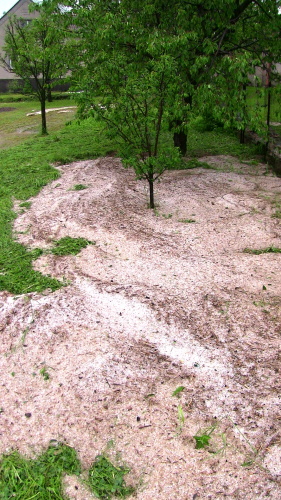 vodacerpaniStareHerminovy_hasiciDvorce (9).jpg