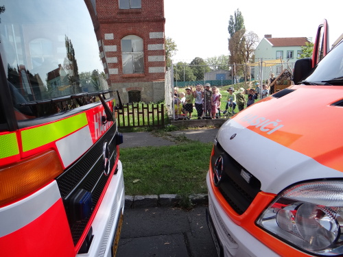 vosyhnizdoskolaOVPrivoz (10).JPG