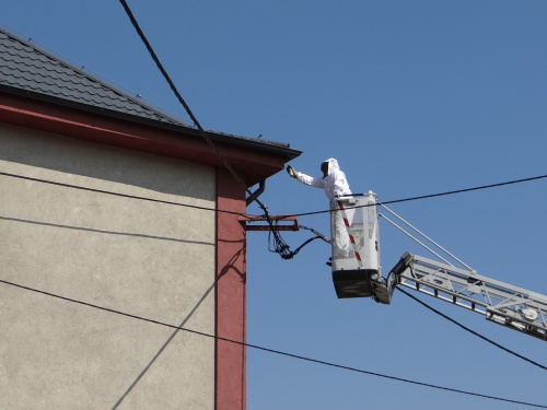 vosylikvidaceKoksarenska_Ostrava (11).JPG