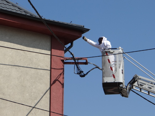 vosylikvidaceKoksarenska_Ostrava (12).JPG