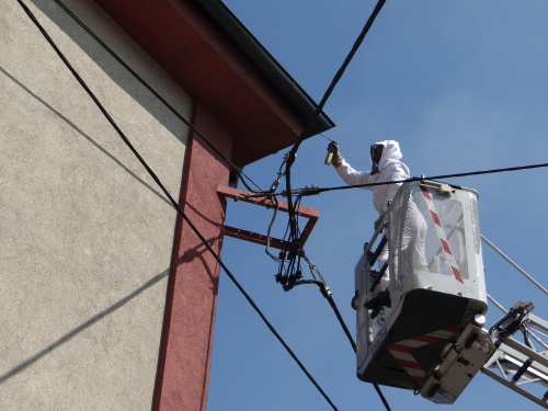 vosylikvidaceKoksarenska_Ostrava (8).JPG