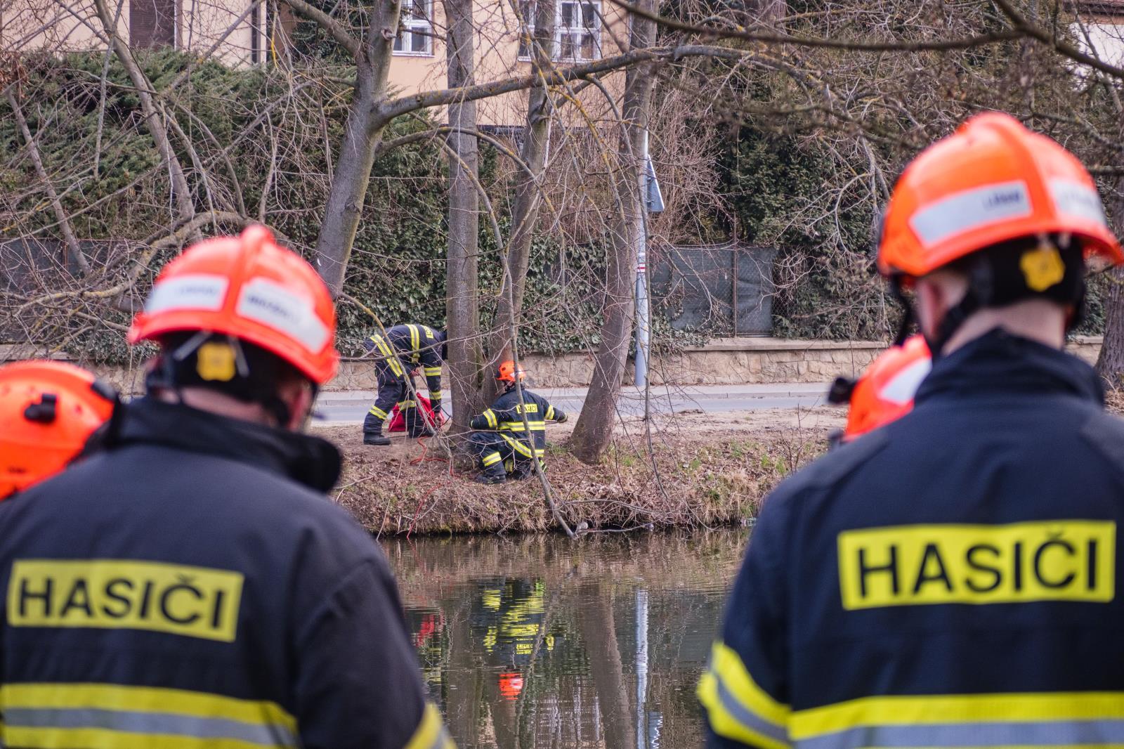 výcvik (12).jpg