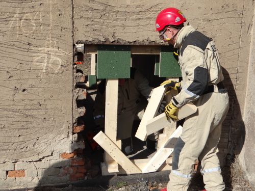 vycvikDirectvydrevaOstrava (7).JPG