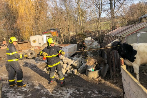 vycvikdobytekBilovec (14).jpg