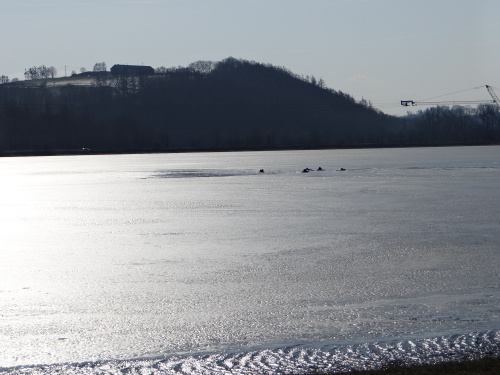 vycvikledHZSMSKbrezenHlucin (8).JPG