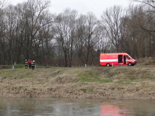 vycviknornastenaOdra_Ostrava (25).JPG
