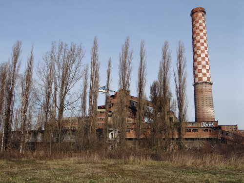 vycvikvrtulnikDOVitkovice (OV) (3).JPG