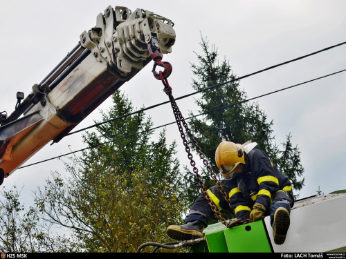 vyprostenikukavuzSenov (OV) (6).JPG