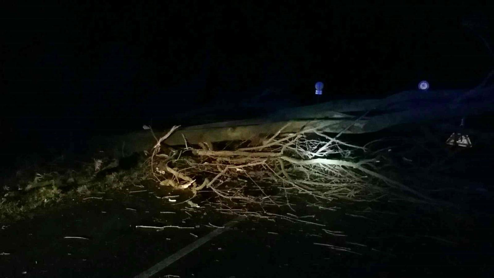 výstraha velmi silný vítr - Olomoucký kraj 10.3.2019