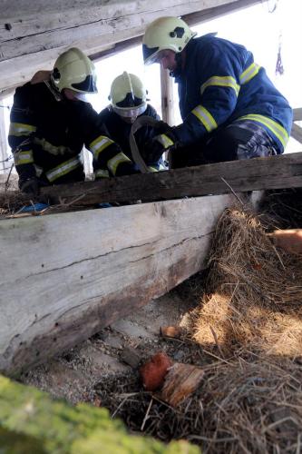 záchrana koně  4.JPG