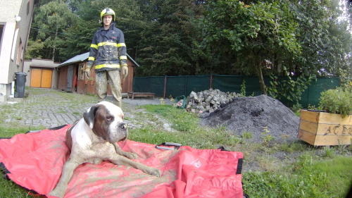 zachranabuldokvykopVratimov (6).JPG