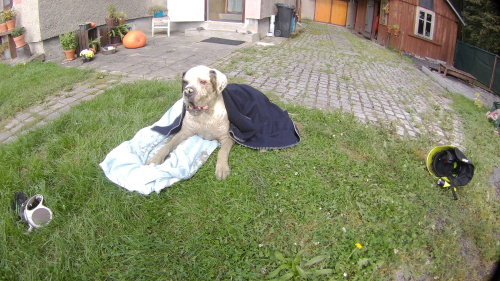 zachranabuldokvykopVratimov (7).JPG