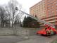 zachranahavranstromsilonHavirov (10)