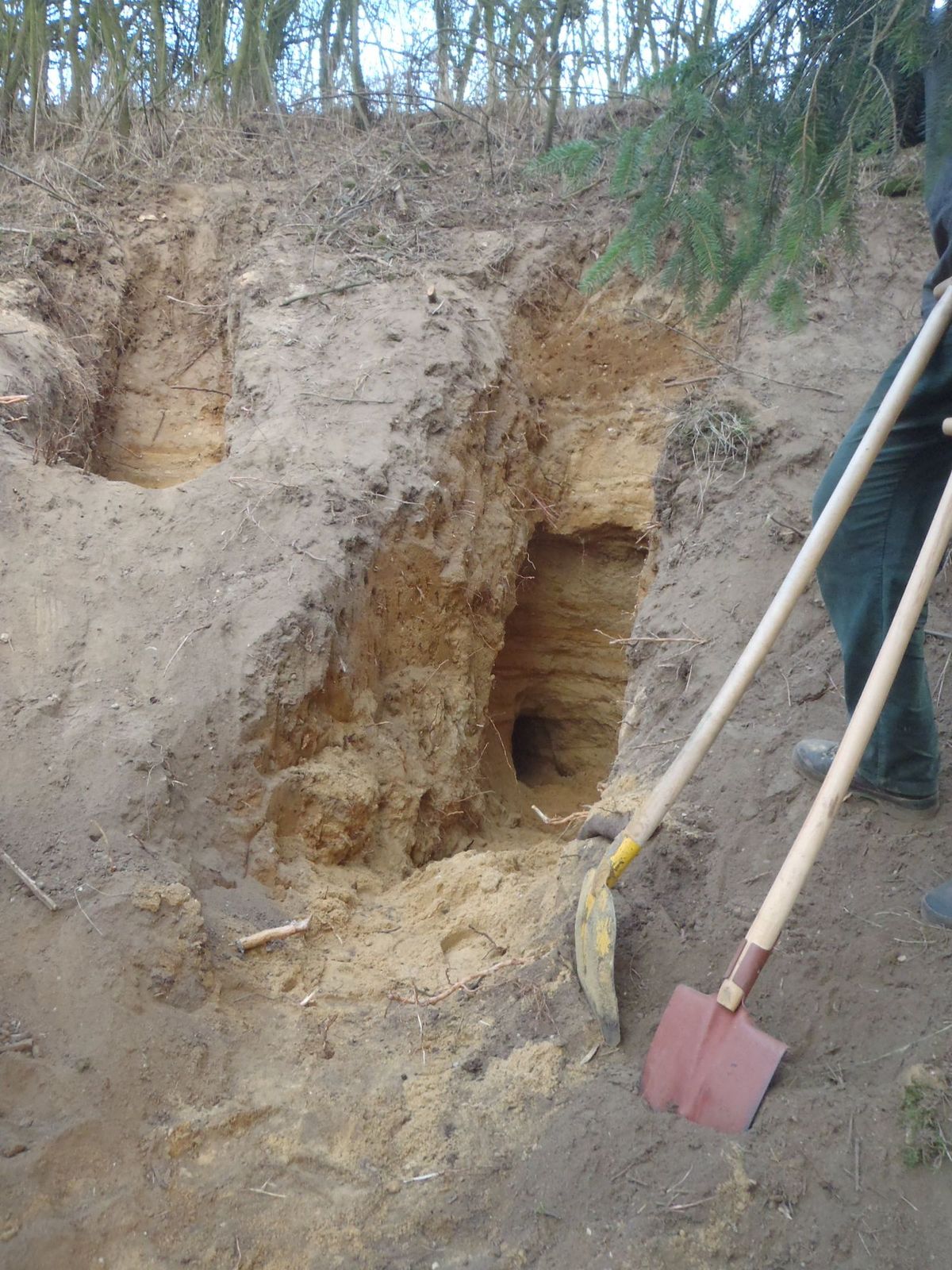 zachranajezevcukuOpava/zachranajezevcikuOpava (06).JPG