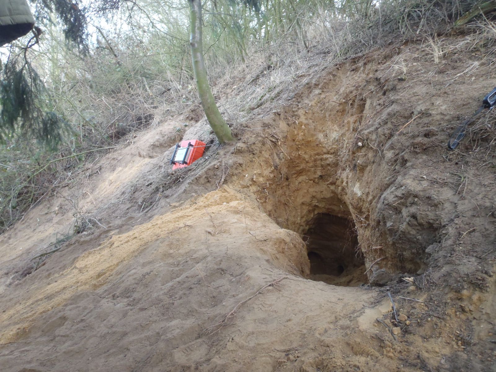 zachranajezevcukuOpava/zachranajezevcikuOpava (04).JPG