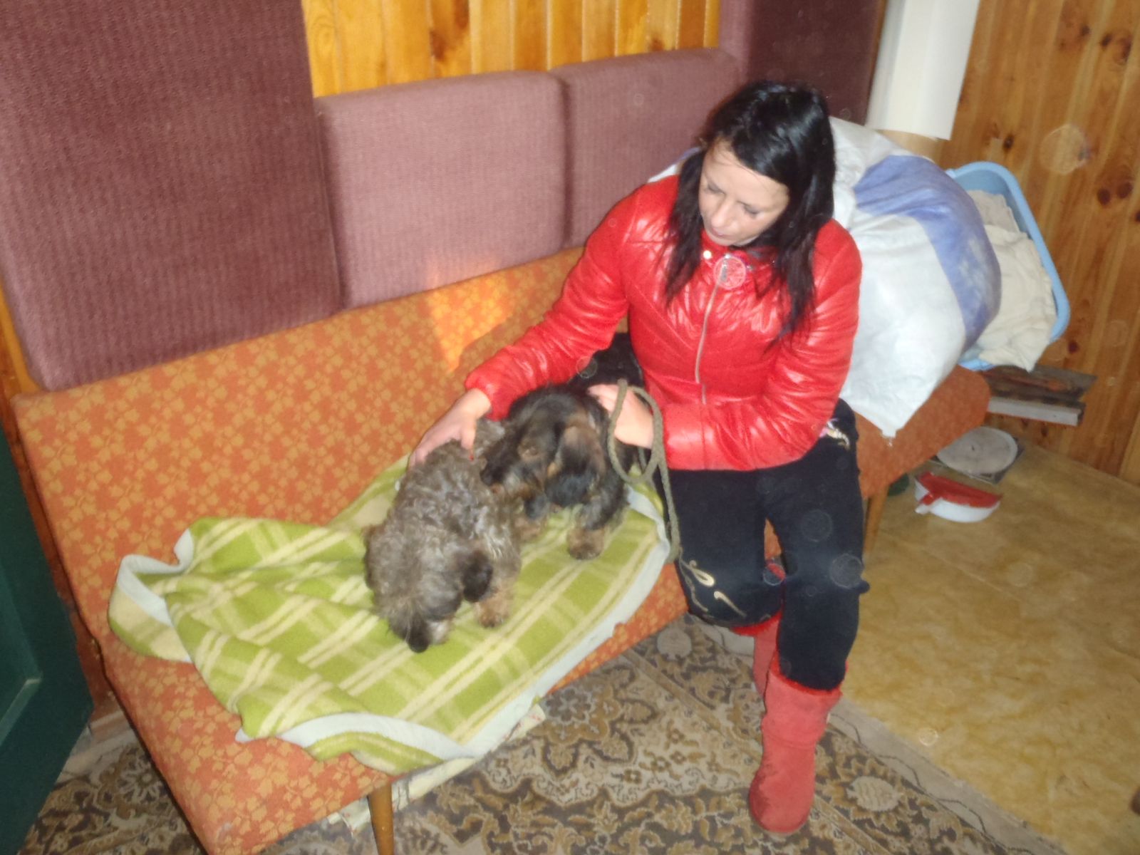 zachranajezevcukuOpava/zachranajezevcikuOpava (08).JPG