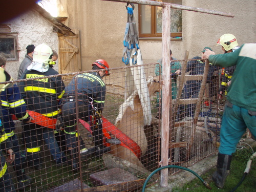 zachranakonestudnaLeskovecnM (BR) (6).JPG