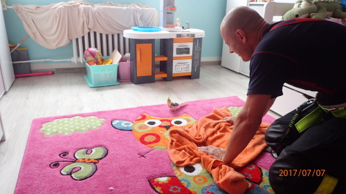 zachranakorelastromOrlova (3).JPG