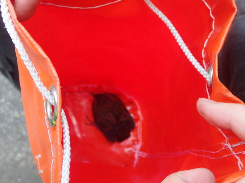 zachranakosprehradaOlesna (2).JPG