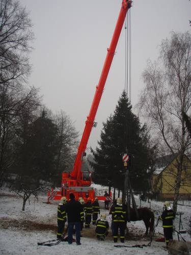 zachranakunjerabDolniLutyne (4).JPG
