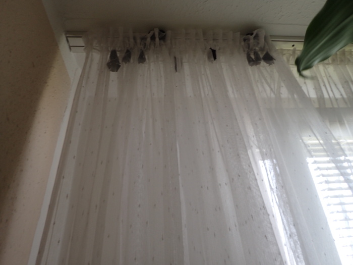 zachrananetyporiOstrava (2).JPG