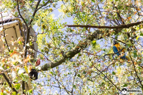 zachranapapousekJistebnik_Kozak (5).jpg