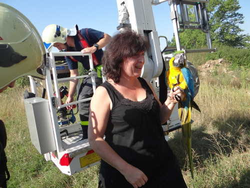 zachranapapousekarastromJistebnik (12).JPG