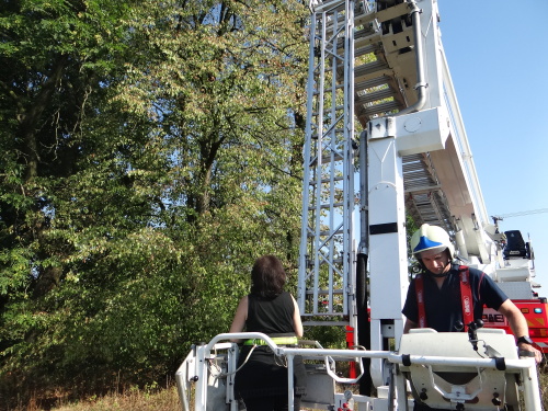 zachranapapousekarastromJistebnik (3).JPG