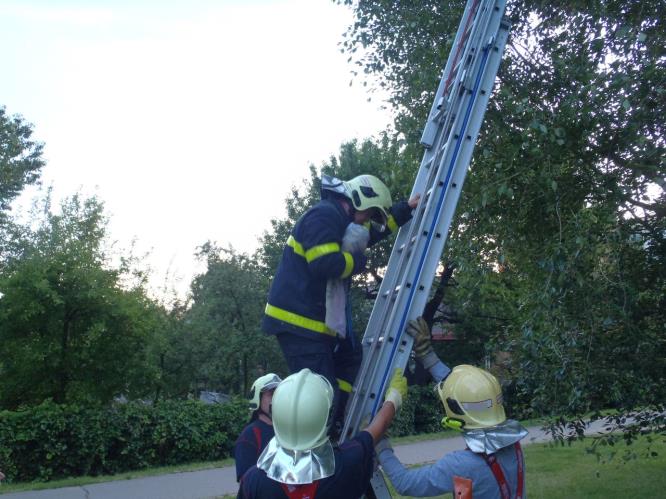 zachranapapouskaOstrava (1).JPG