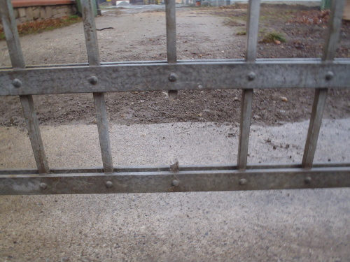 zachranapesplotOstrava (3).JPG