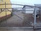 zachranapesplotOstrava (4)