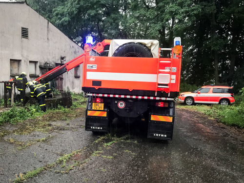 zachranaprasejimkaKujavy (4).jpg