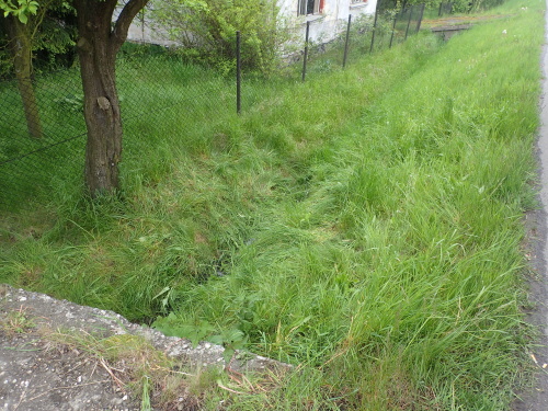 zachranaseniorprikopPetrvald (1 KI).JPG