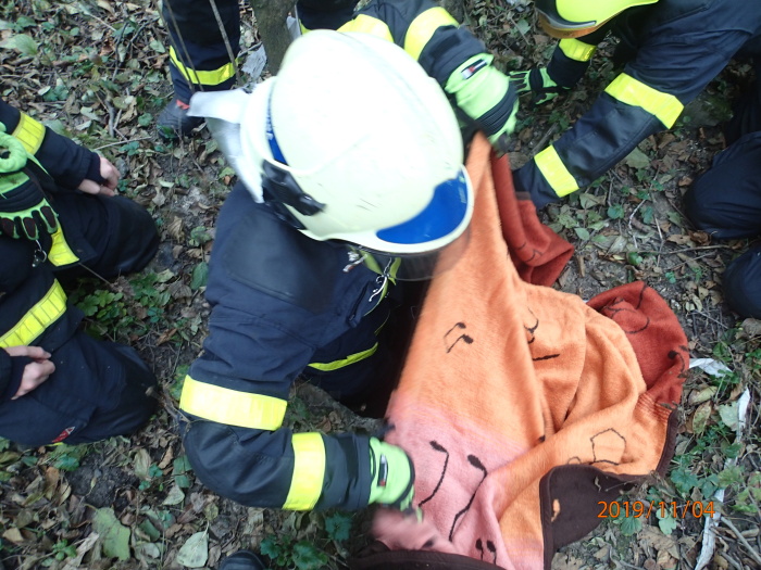 zachranasrnkasachticeHavirov (3).JPG