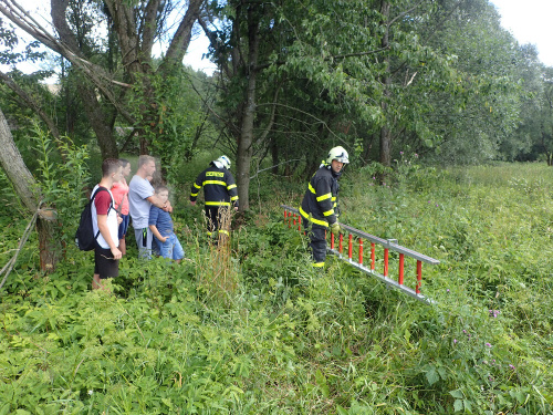 zachrnasrnecstudnaVitkov (2).JPG